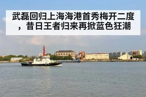 武磊回归上海海港首秀梅开二度，昔日王者归来再掀蓝色狂潮