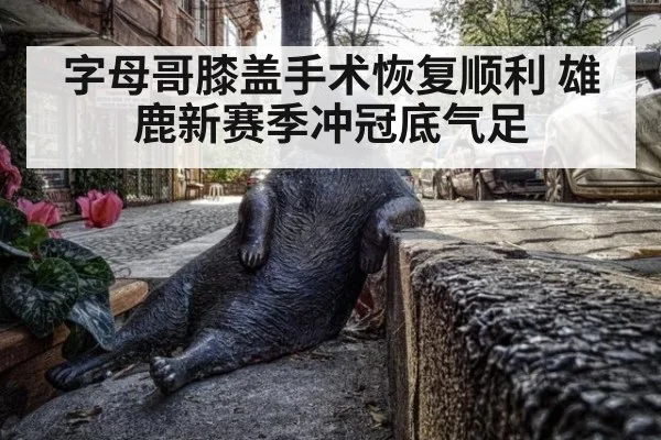 字母哥膝盖手术恢复顺利 雄鹿新赛季冲冠底气足